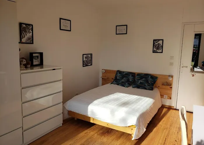 Maison Dans La Forêt Mérignac